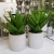 20190611_143924.jpg