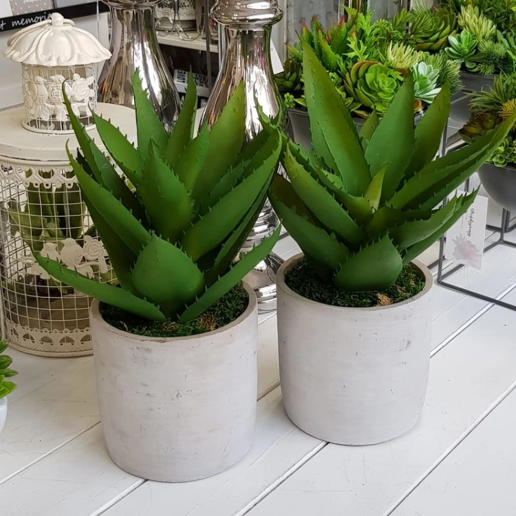 20190611_143946.jpg
