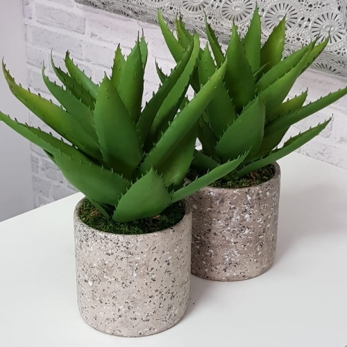 20190611_144048.jpg