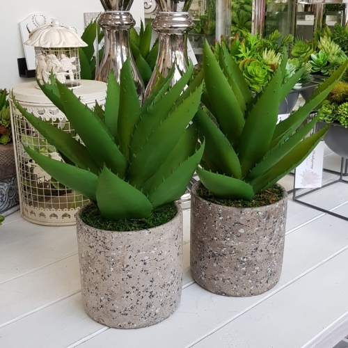 20190611_144213.jpg