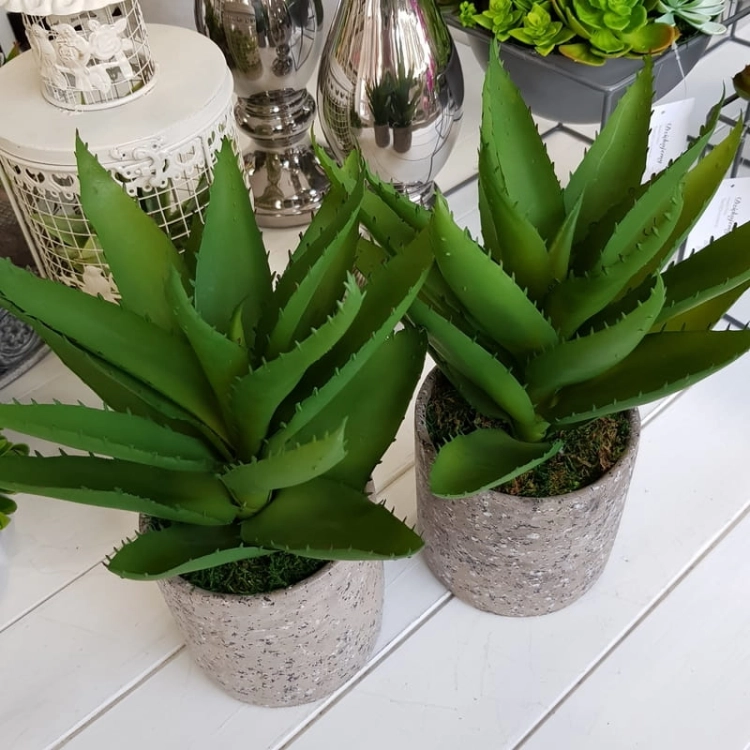 20190611_144243.jpg