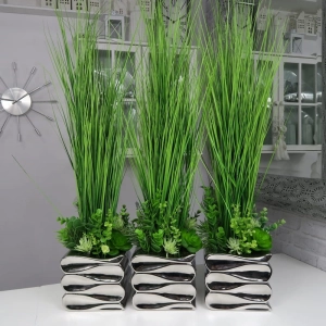 Trawa trawka kompozycja w donicy Flora s