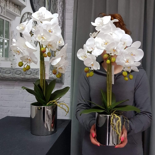 IMG-20190527-WA0212.jpg