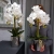 IMG-20190527-WA0212.jpg
