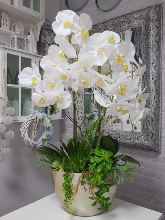 20190806_164617.jpg