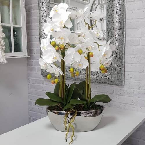 20190807_134948.jpg