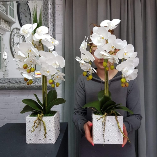 IMG-20190527-WA0097.jpg