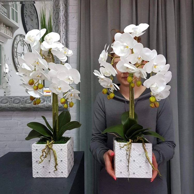 IMG-20190527-WA0097.jpg