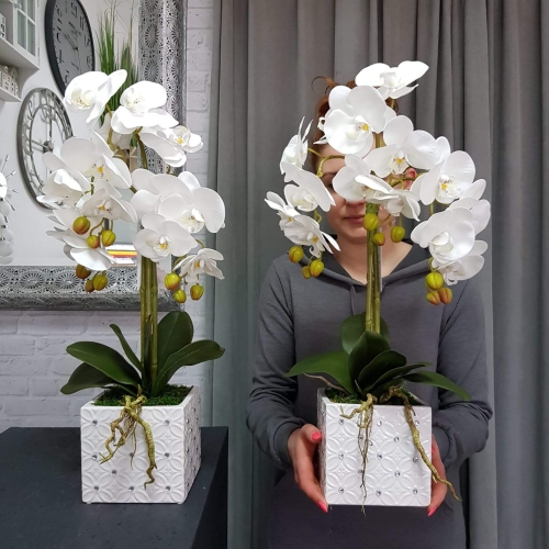 IMG-20190527-WA0098.jpg