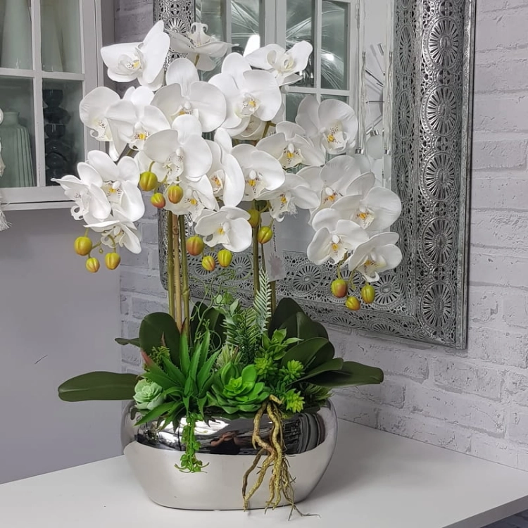 20190808_155914.jpg