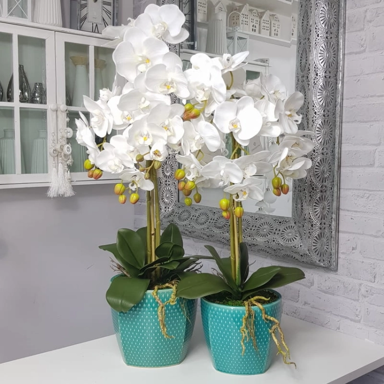 20190808_163013.jpg