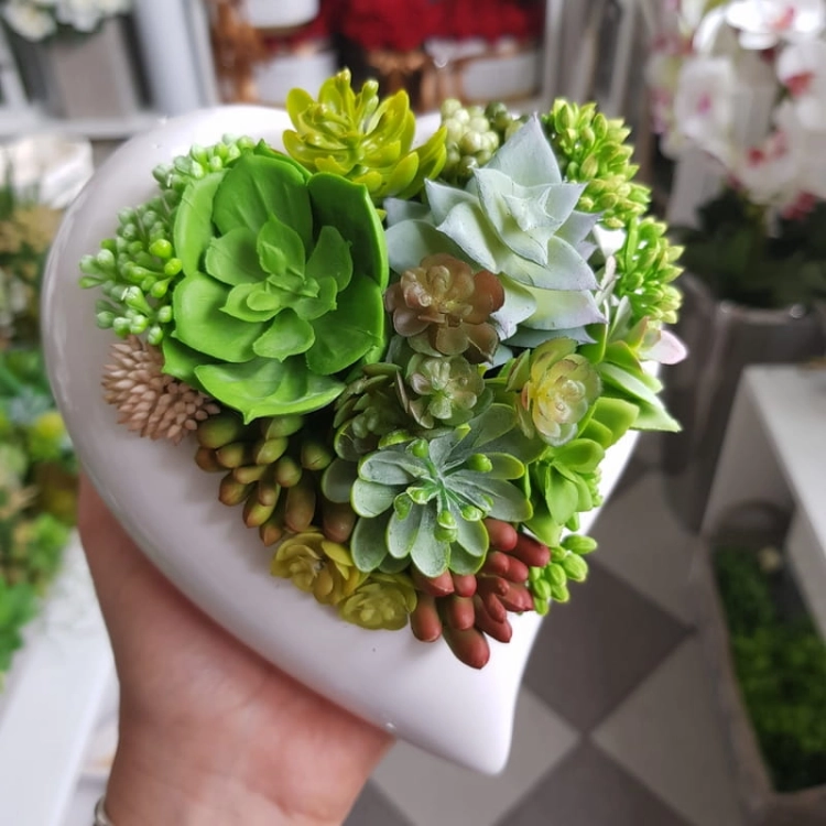 20190902_121337.jpg