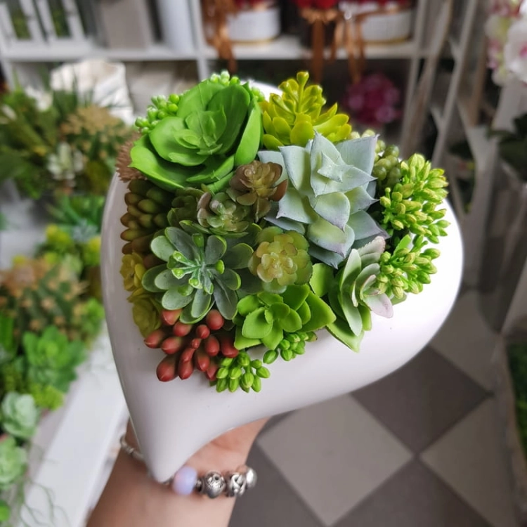 20190902_121348.jpg