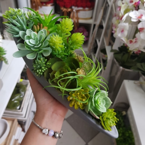 20190902_124156.jpg
