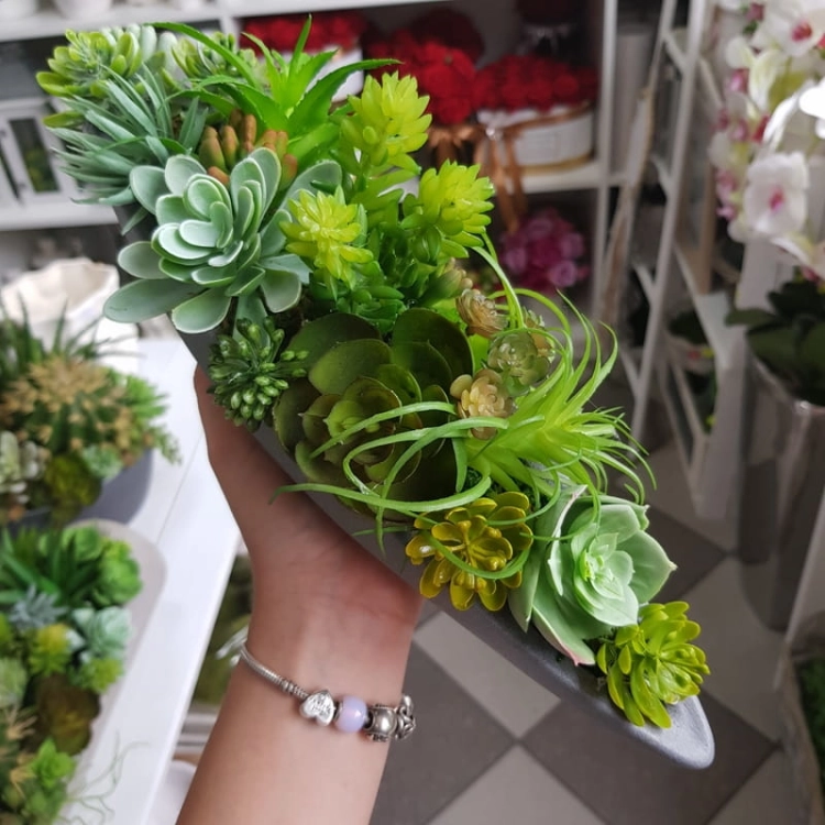 20190902_124207.jpg