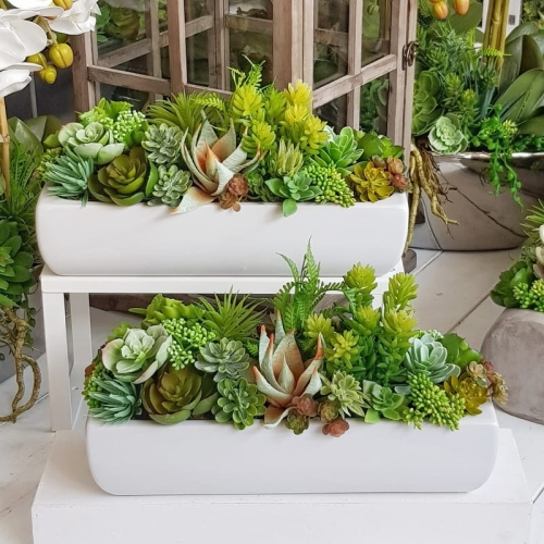 IMG-20190903-WA0010.jpg