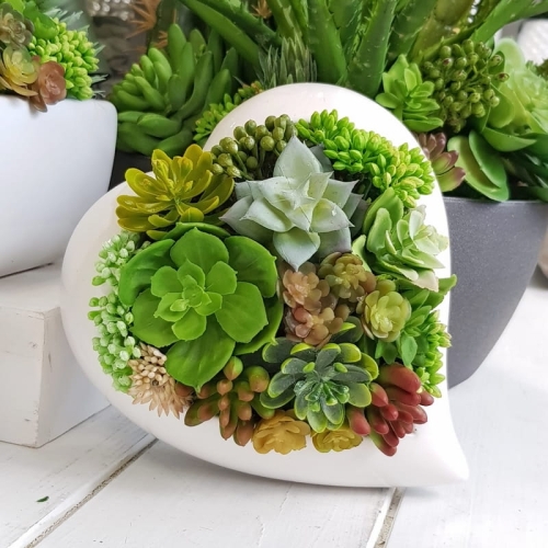 IMG-20190903-WA0001.jpg