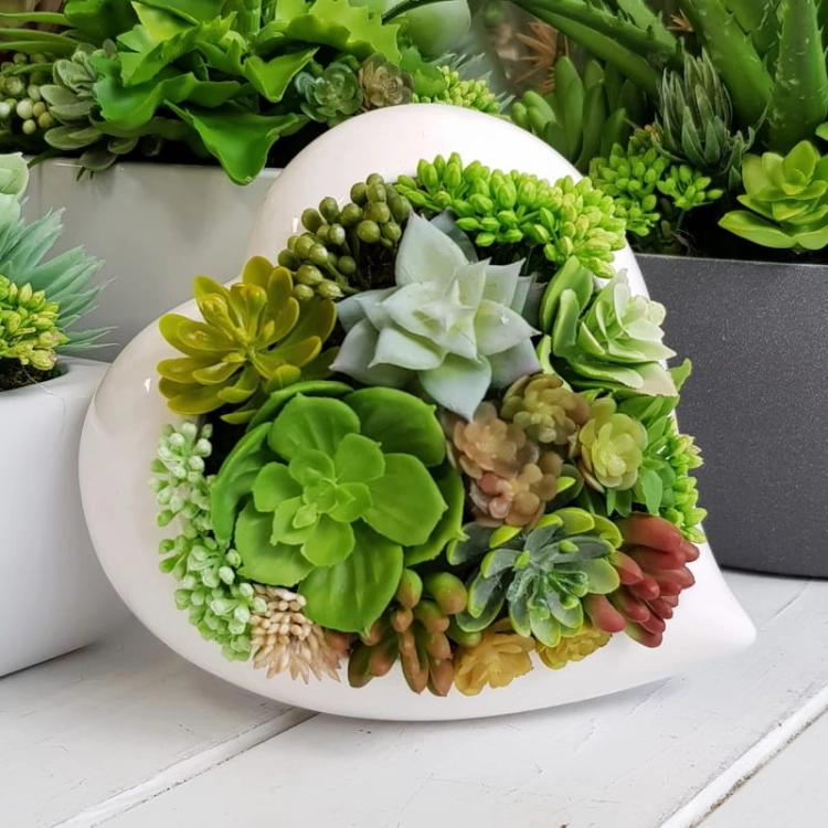 IMG-20190903-WA0003.jpg