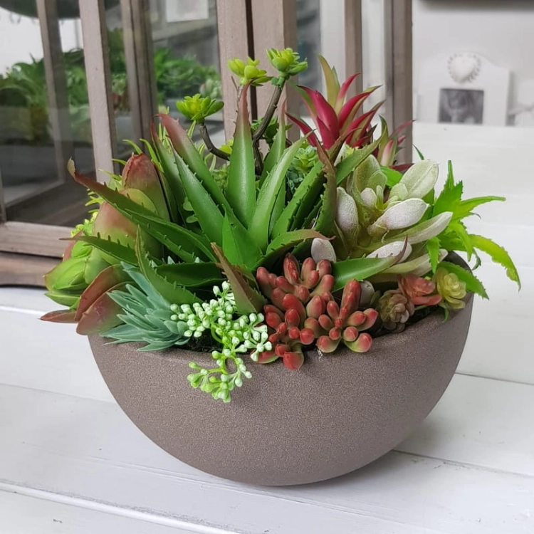 IMG-20190909-WA0029.jpg