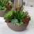 IMG-20190909-WA0038.jpg