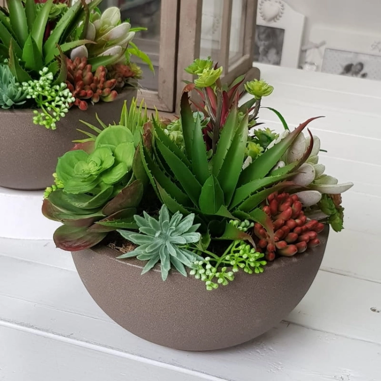 IMG-20190909-WA0038.jpg