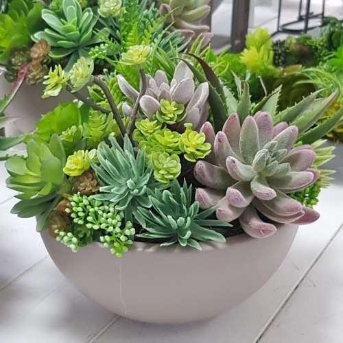 IMG-20190909-WA0018.jpg