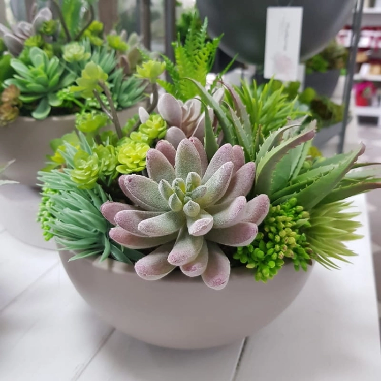 IMG-20190909-WA0020.jpg