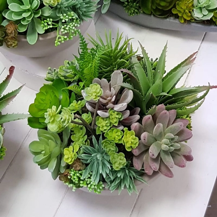 IMG-20190909-WA0021.jpg