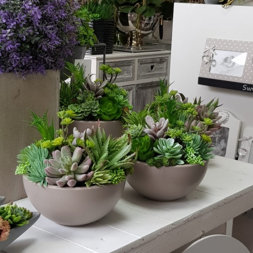IMG-20190909-WA0022.jpg