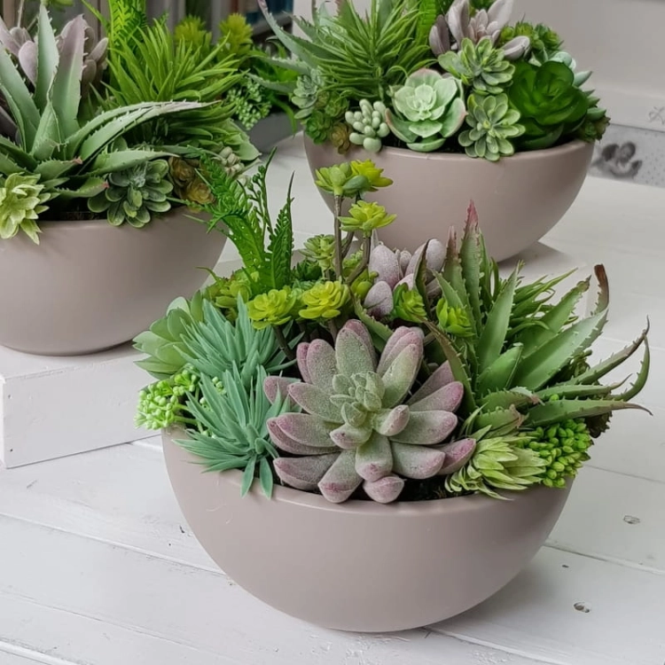 IMG-20190909-WA0024.jpg