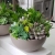 IMG-20190909-WA0025.jpg