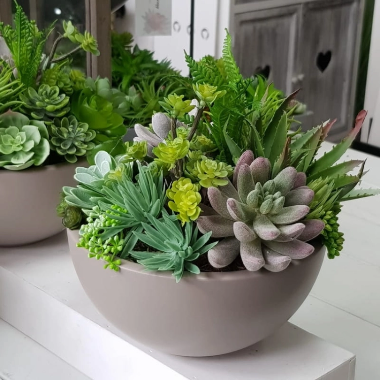 IMG-20190909-WA0025.jpg