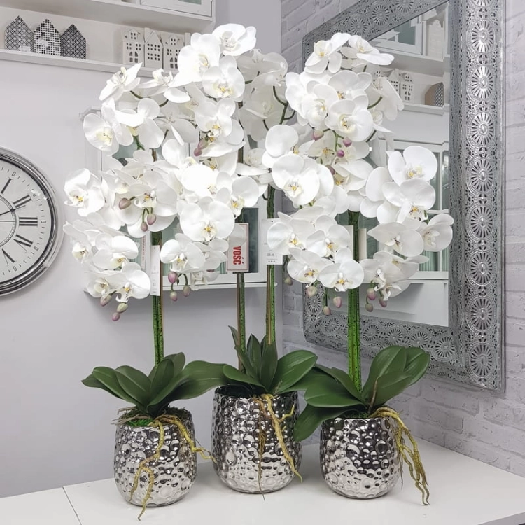 20190924_144127.jpg