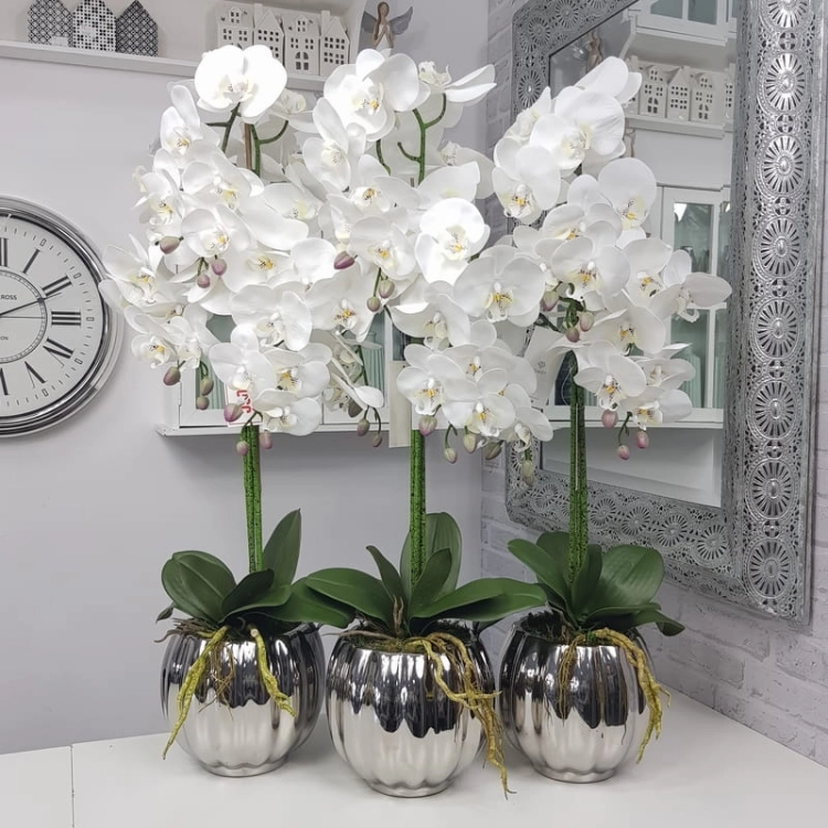 20190924_143415.jpg