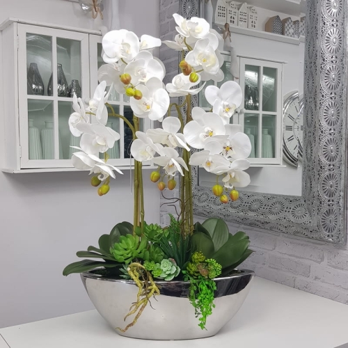 20190924_151508.jpg