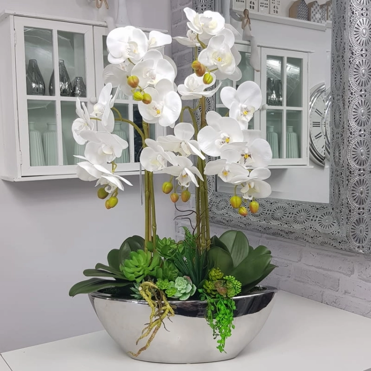 20190924_151548.jpg