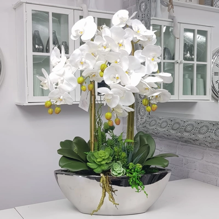 20190924_151856.jpg
