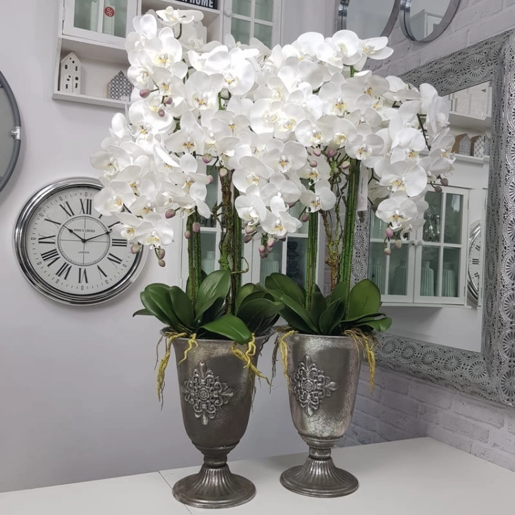 20190924_153416.jpg