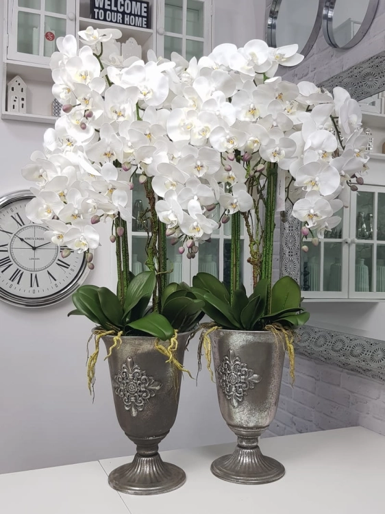 20190924_153455.jpg