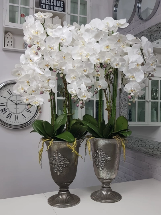 20190924_153457.jpg
