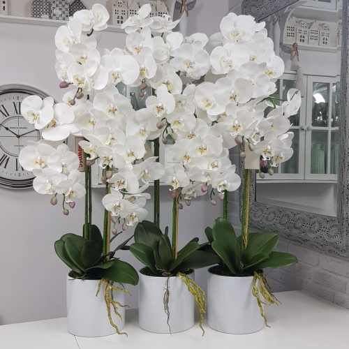 20190924_172717.jpg