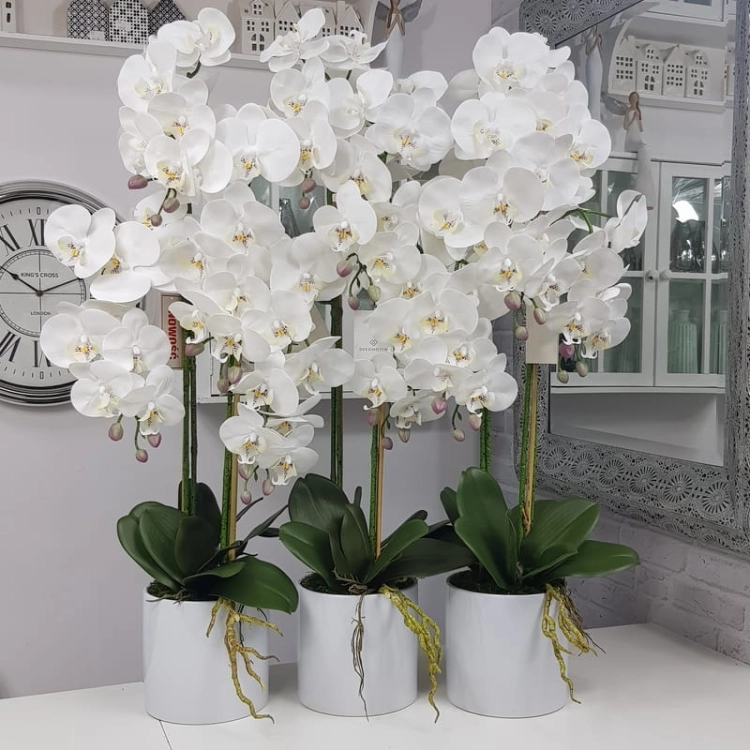 20190924_172717.jpg