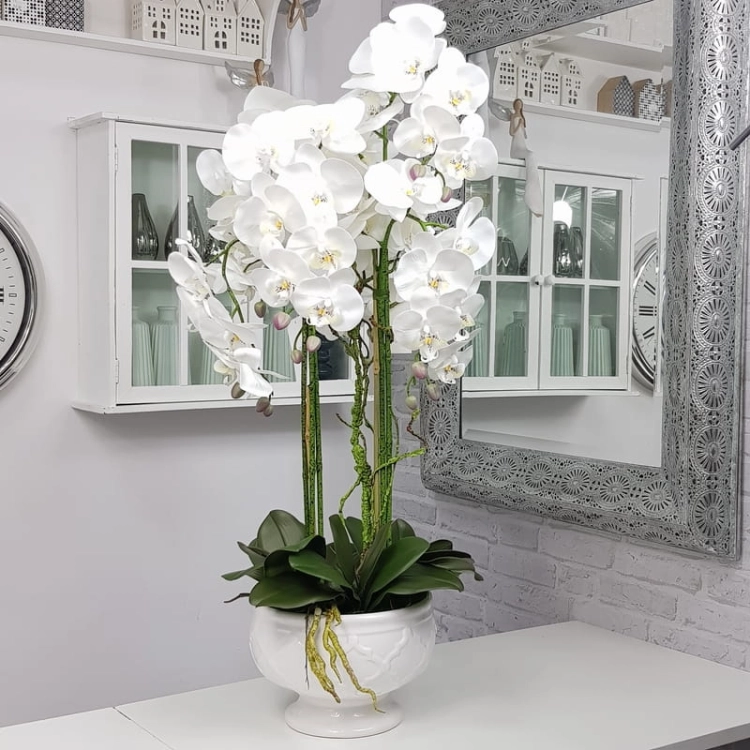 20190925_110542.jpg