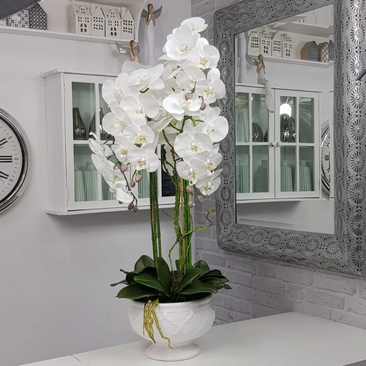 20190925_110618.jpg