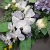 IMG-20191017-WA0011.jpg