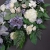 IMG-20191017-WA0017.jpg