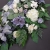 IMG-20191017-WA0018.jpg
