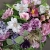 IMG-20191017-WA0042.jpg