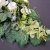 IMG-20191017-WA0226.jpg