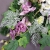 IMG-20191017-WA0087.jpg